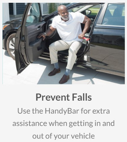 Vehicle Aid - Mobility Handybar (Q31003)